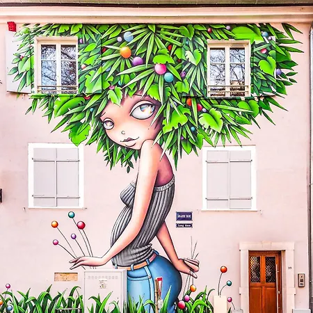 Maison De L'arsenal Мюлуз